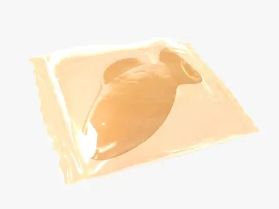 Wrapped Orange Fish 3D 3D model