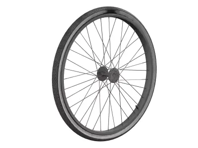Old Bicycle Wheel 3D model