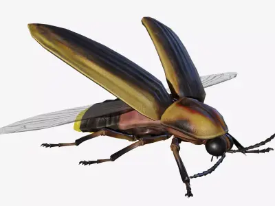 Firefly Low-poly 3D model