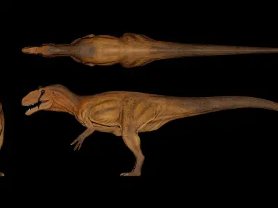 Allosaurus fragilis Low-poly 3D model