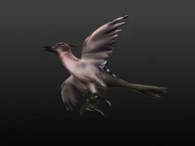 hoopie bird 3D model