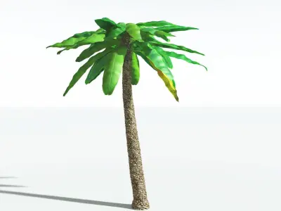 EVERYPlant Bjuvia Cycad 4 --12 Models-- 3D model