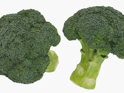 Cruciferous Collection 2 3D model