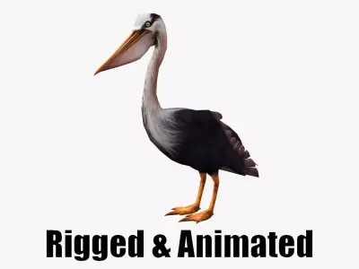 low-poly animated pelican pelecanus Low-poly 3D model