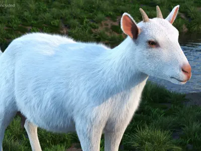 Rigged Farm Animals Big Collection 3 for Cinema 4D 3D model
