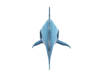 Bluefin tuna Low-poly 3D model