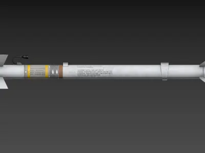 AIM-9P 3D model