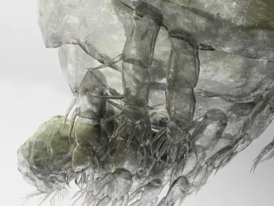 Cyclops Rigged 3D model