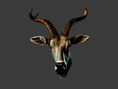 Deer Animal Head Low-poly 3D model