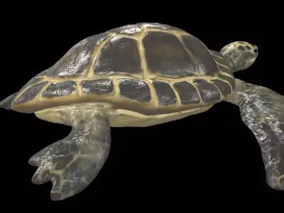 Turtle sea flying Free low-poly 3D model