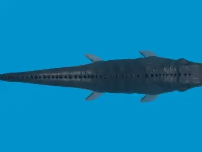 Mosasaurio dinosaur swimming in ocean Low-poly 3D model