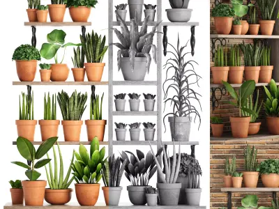 collection of plants in clay pots PART 1 3D model
