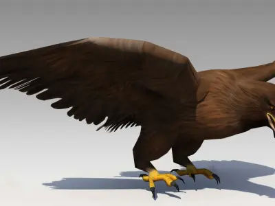 Golden Eagle Animated Low-poly 3D model