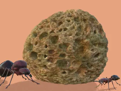 Odontomachus ant and Atta ant 3D model