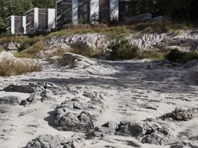  Medium Scattered Beach Rock Model 