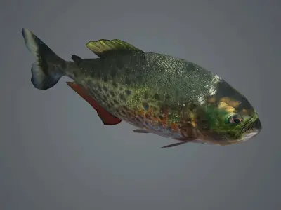 piranha fish monster amazon salmon river sea  3D model