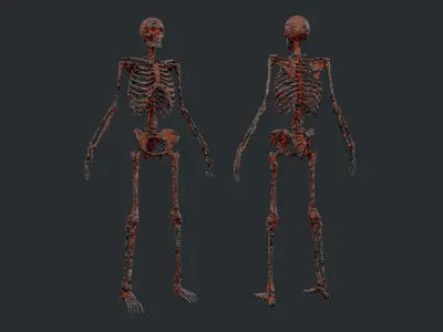 10 Skeleton Burning Lava Pack Game Ready Low-poly 3D model purchase