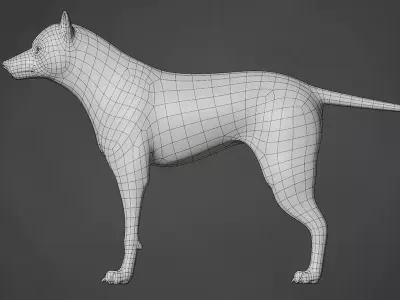 Wolf Base Mesh Free 3D model