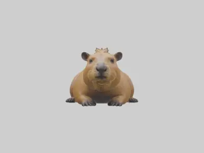 Capybara Model 1 Low-poly 3D model