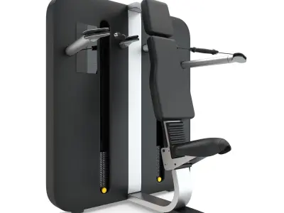 Technogym - Functional Training - Over Head Press 3D model