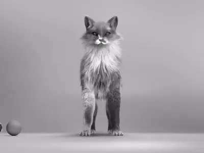 Base Mesh Cat 3D model