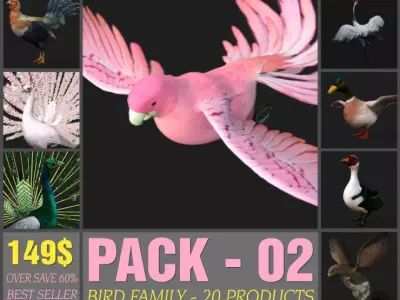 Pack-02-Bird Family 3D model