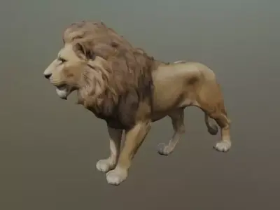 A lion 3D model