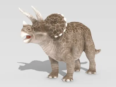Triceratops Animated Low-poly 3D model