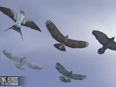 Soaring birds - animals for environment 3D model