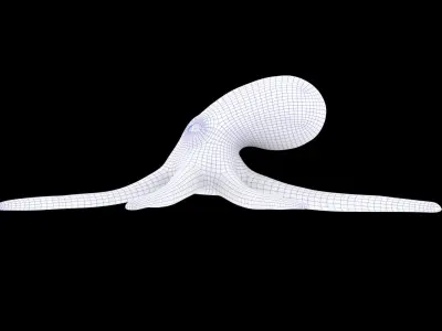 Octopus Rigged Low-poly 3D model