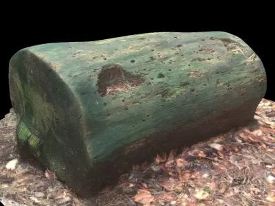 3D sawn of tree part model Low-poly 3D model