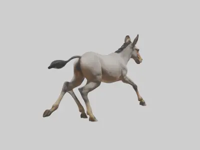 Indian Wild Ass running model Low-poly 3D model