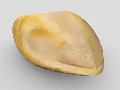 CC0 - Cooked Chicken Breast 2 Free low-poly 3D model