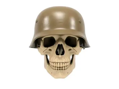 Terror Skull 4 3D print model