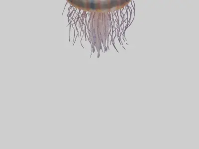 Lions Mane Jellyfish drifting model Low-poly 3D model
