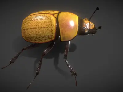 scarab beetle Low-poly 3D model
