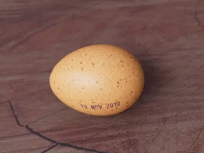 Chicken Egg  low-poly 3D model with realistic 4k texture Low-poly 3D model