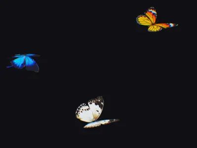 Butterfly Insect Flock Animated Fly Animal Wing Butterflies Low-poly 3D model