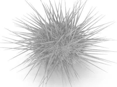 Sea urchin V1 3D model