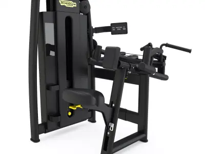 Technogym - Selectorised - Upper Back 3D model