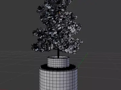Potted young red leaved tree 1 Free 3D model