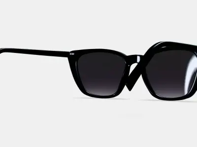 Janelle Sunglasses in Jet Black 3D model