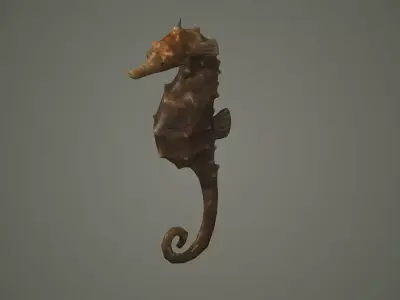 seahorse sea horse fish aquarium hippocampus seahorses  3D model