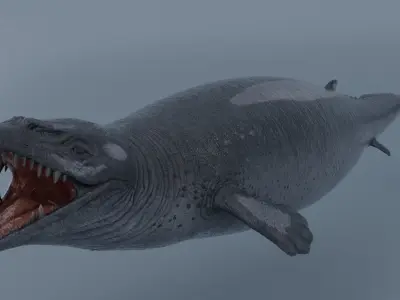 Basilosaurus  Low-poly 3D model