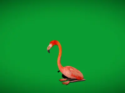 American Flamingo Bird Low-poly 3D model