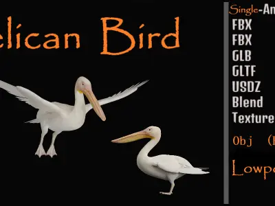 Pelican Bird Low-poly 3D model