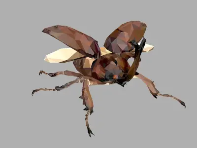 Chafer Beetle Low Polygon Art Insect Low-poly 3D model