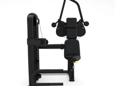 Technogym - Selectorised - Vertical Traction 3D model