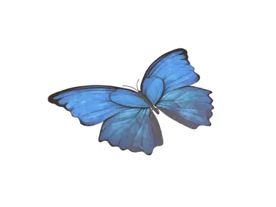 Butterfly v1 001 Low-poly 3D model