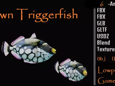 Clown Trigger Fish Low-poly 3D model